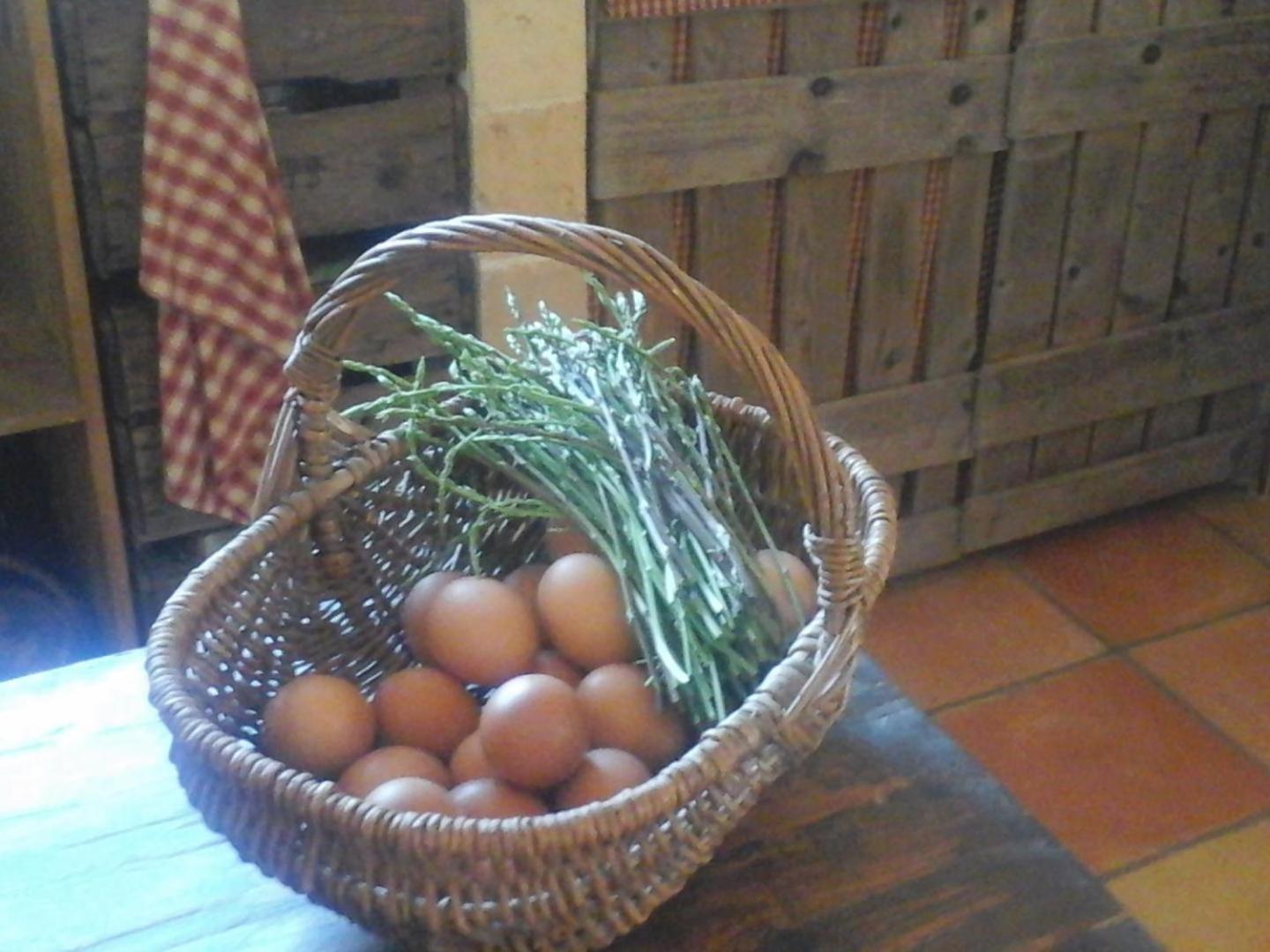 La Maison De Campagne Carcès Exterior foto